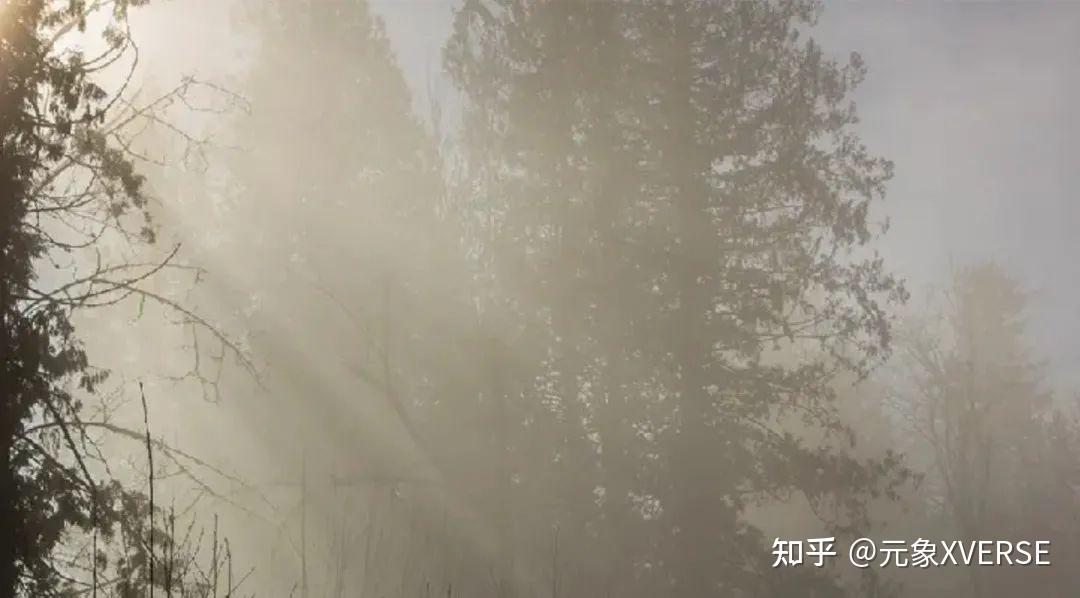 体渲染探秘：在元宇宙实现体积光与体积雾347 / 作者:五毒男孩又 / 帖子ID:116338