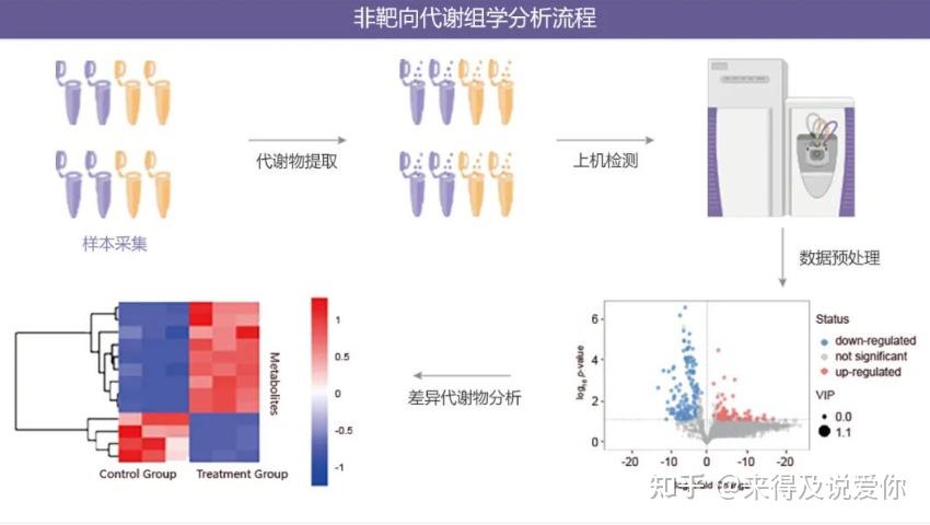 LC-MS代谢组学的应用领域和基本流程227 / 作者:球死禁严 / 帖子ID:116375