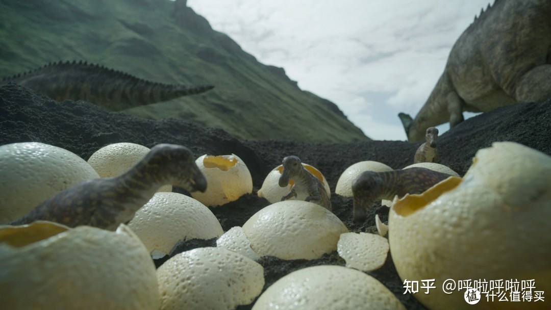 2022年4K超清纪录片精选重磅推荐763 / 作者:叫啥不行靠 / 帖子ID:116421