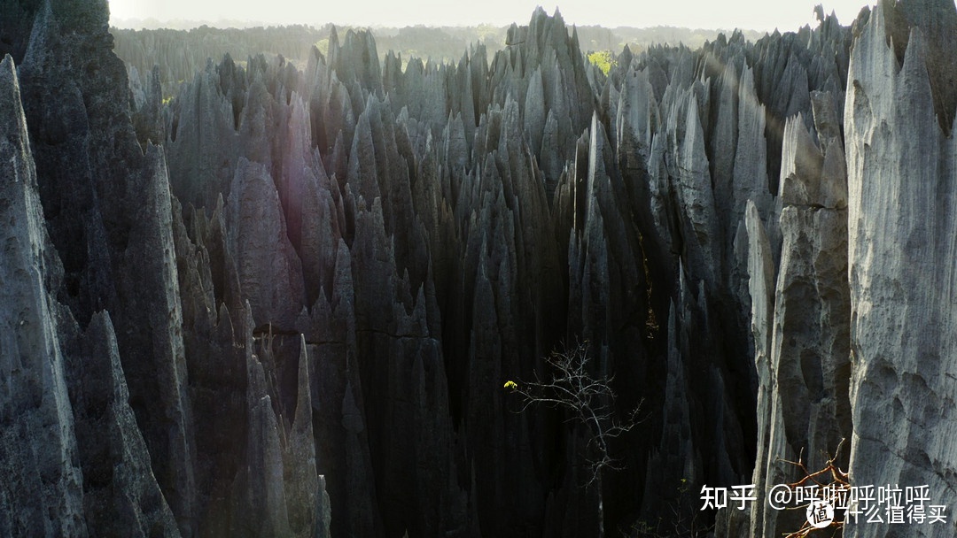 2022年4K超清纪录片精选重磅推荐662 / 作者:叫啥不行靠 / 帖子ID:116421