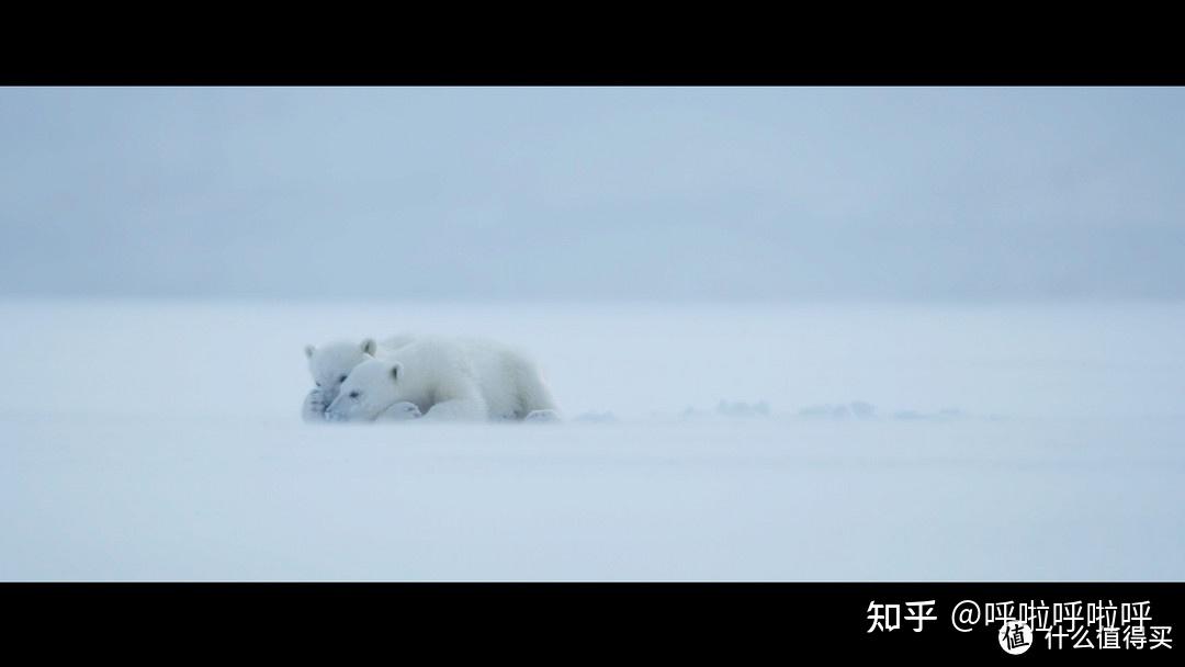 2022年4K超清纪录片精选重磅推荐140 / 作者:叫啥不行靠 / 帖子ID:116421