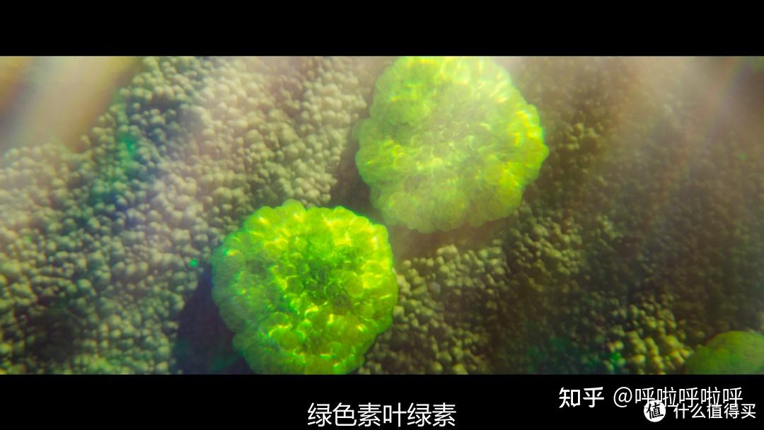 2022年4K超清纪录片精选重磅推荐1 / 作者:叫啥不行靠 / 帖子ID:116421