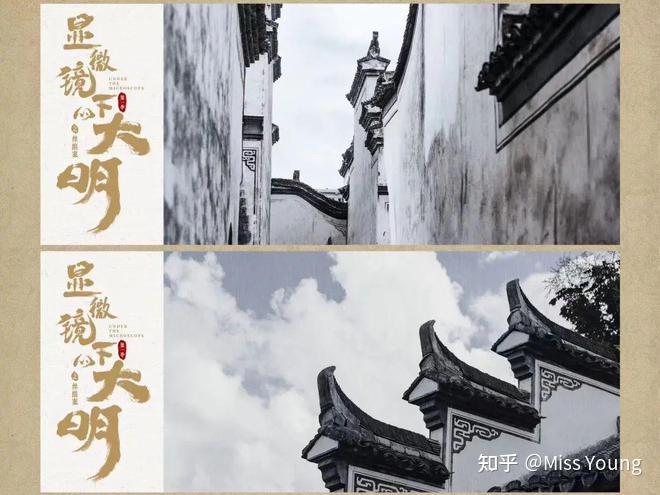 豆瓣评分7.8，《显微镜下的大明丝绢案》有哪些让人惊叹的 ...-7.jpg