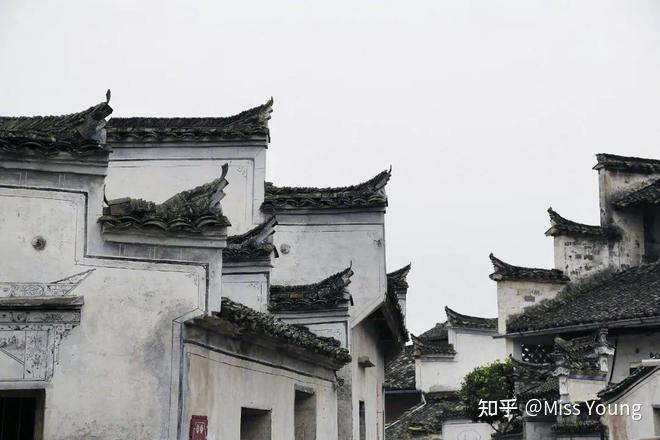豆瓣评分7.8，《显微镜下的大明丝绢案》有哪些让人惊叹的 ...-22.jpg