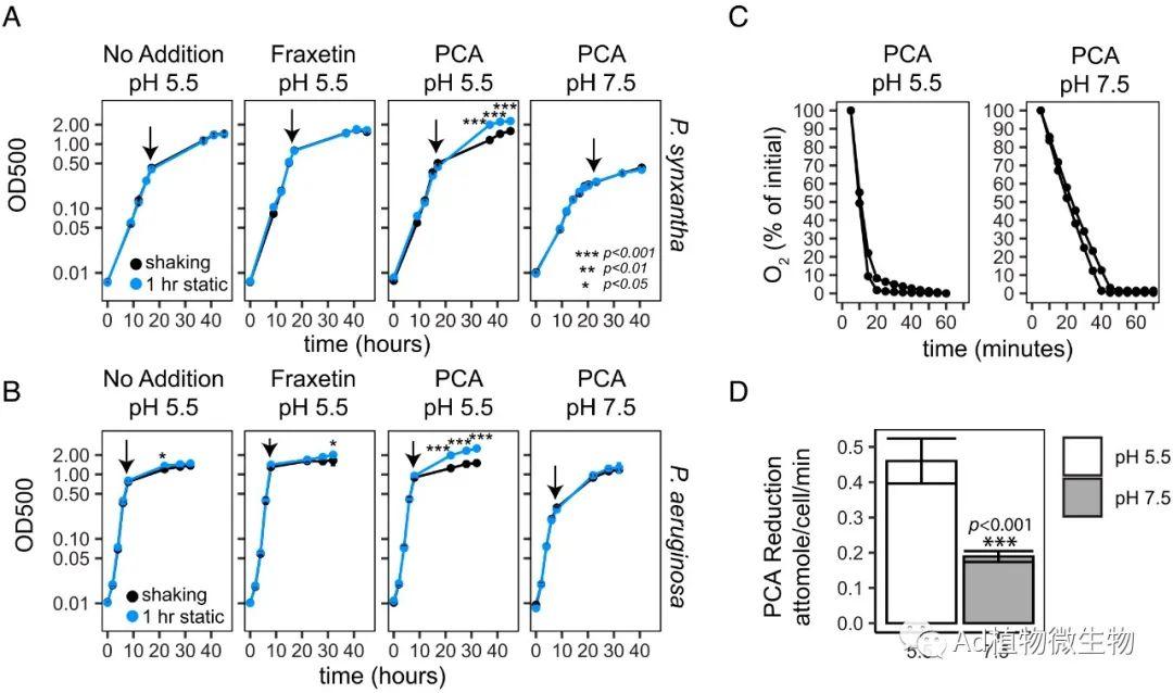 PNAS | 研究揭示次级代谢产物的化学生态学影响根际微生物 ...381 / 作者:爱可电子蓉 / 帖子ID:116465