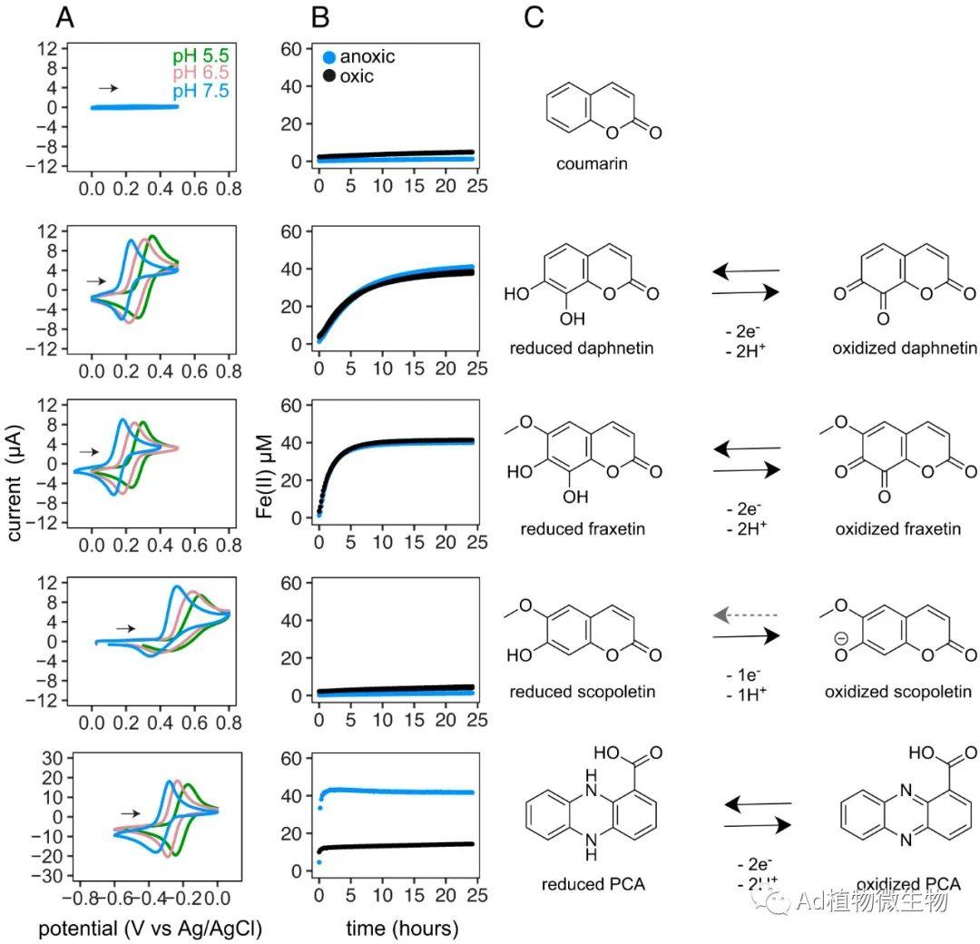 PNAS | 研究揭示次级代谢产物的化学生态学影响根际微生物 ...901 / 作者:爱可电子蓉 / 帖子ID:116465