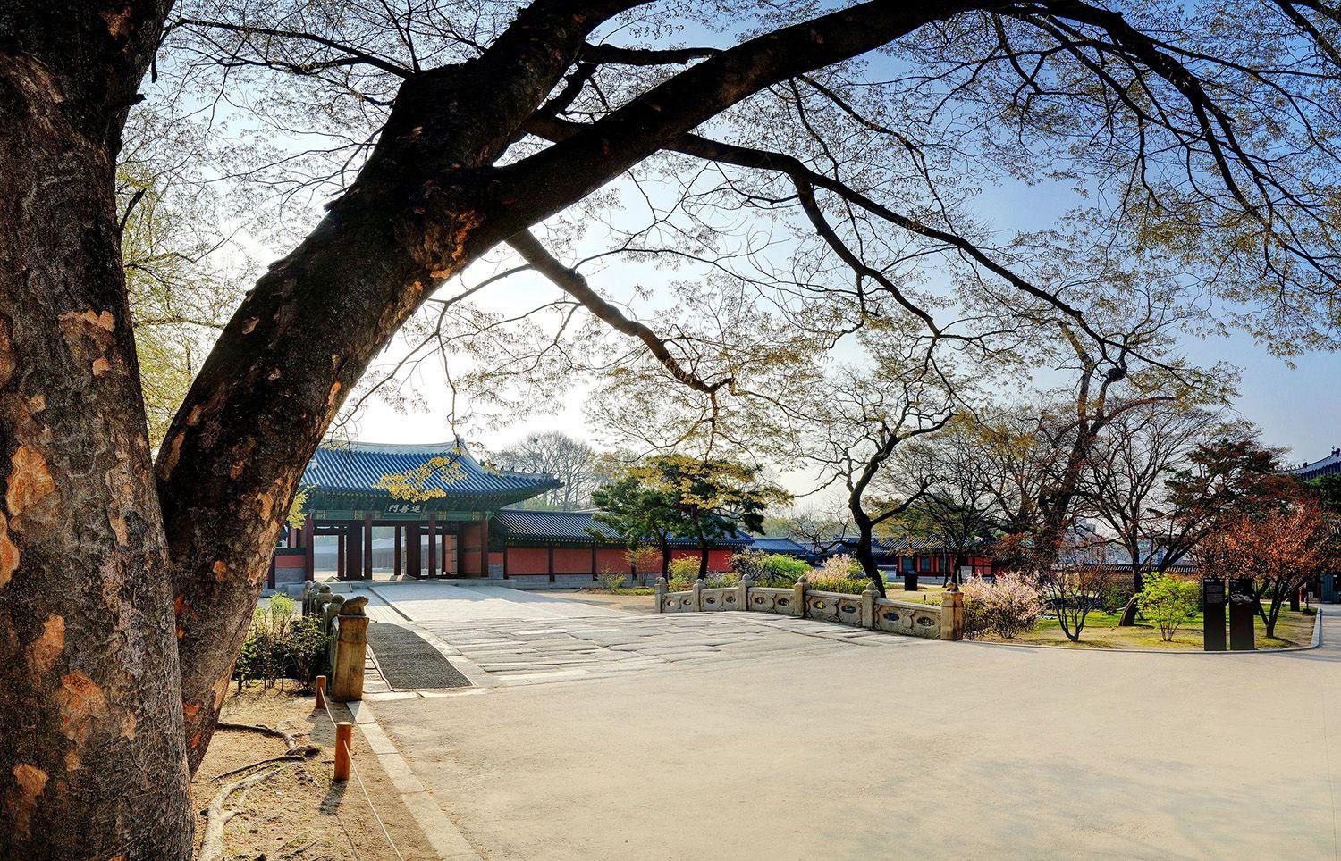 国际古迹遗址日 | 游知名世界遗产，领略古代建筑与大自然之美720 / 作者:笑到呆萌 / 帖子ID:116832