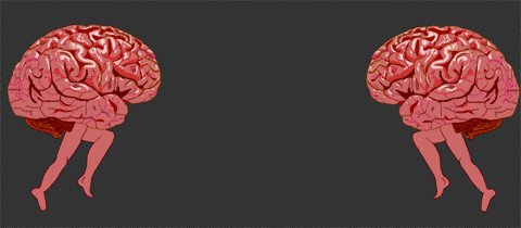 悦读 | 认识自己，你不可不知的50个脑科学知识926 / 作者:魏洋1 / 帖子ID:118293