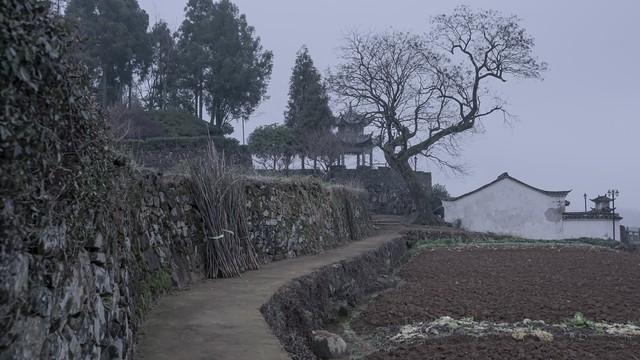 亲身经历：小时候的灵异事件839 / 作者:陈陈430 / 帖子ID:118345