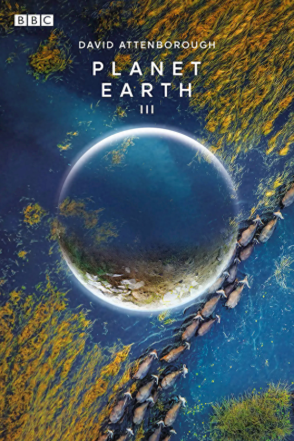 《地球》一部让观众更加了解地球上的生物和自然环境的纪录片649 / 作者:Guogangts / 帖子ID:119002