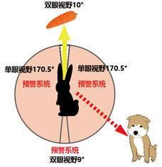 如果有外星人，它们的这3个特征会和人类相同280 / 作者:玉米人 / 帖子ID:119007