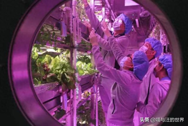杨利伟太空听到奇怪“敲门声”是外星人来拜访？10年后才找到真相733 / 作者:123457625 / 帖子ID:119132