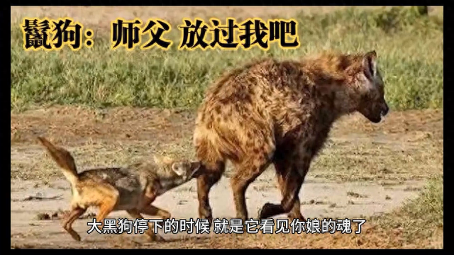 【短篇小说】小村庄的神秘事件（第四部分）351 / 作者:旭日非常 / 帖子ID:119314