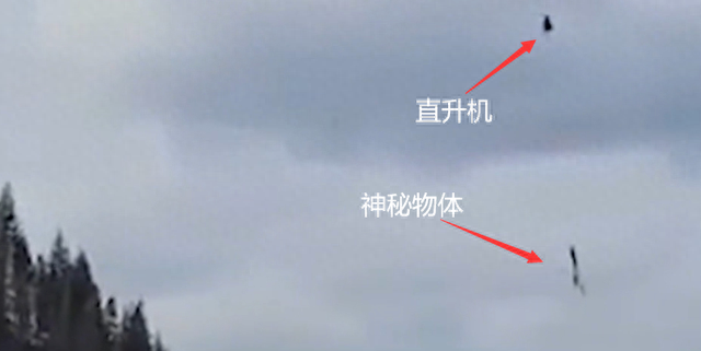 神秘事件调查：巨人比野人更神秘，目击者也离奇死亡，真相是什么54 / 作者:123457926 / 帖子ID:119340