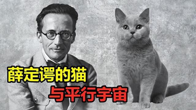 宇宙是无限大的吗？如果是这样，就会产生一个让人疯狂的事实365 / 作者:博阿尔农 / 帖子ID:119524