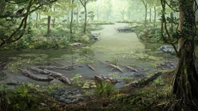 重大发现！中国科学家从3500万年前的粪便中，发现地球长这样——622 / 作者:123457567 / 帖子ID:119661