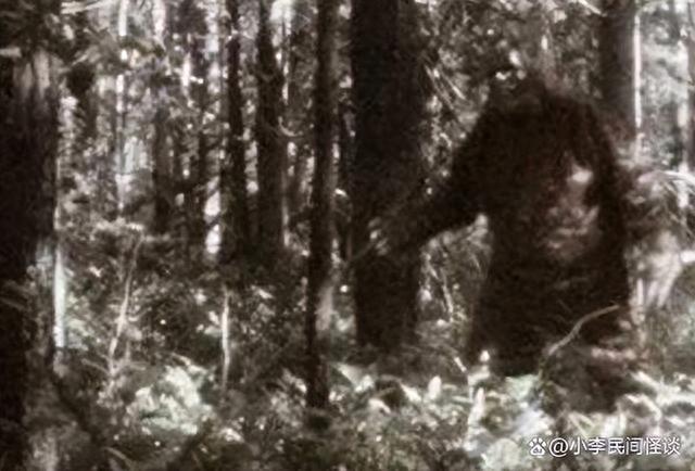 民间怪谈：世界上最可怕的五大不明生物999 / 作者:叶505 / 帖子ID:119752