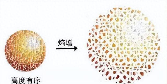 宇宙最终将死亡？未来100万年内，地球和人类将会经历多重磨难439 / 作者:紫色214 / 帖子ID:119757