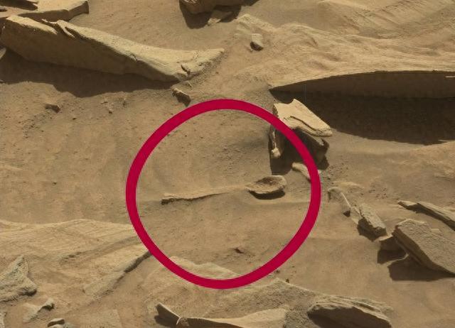 毅力号在火星上发现外星人？揭开外星文明之谜399 / 作者:123458001 / 帖子ID:119784