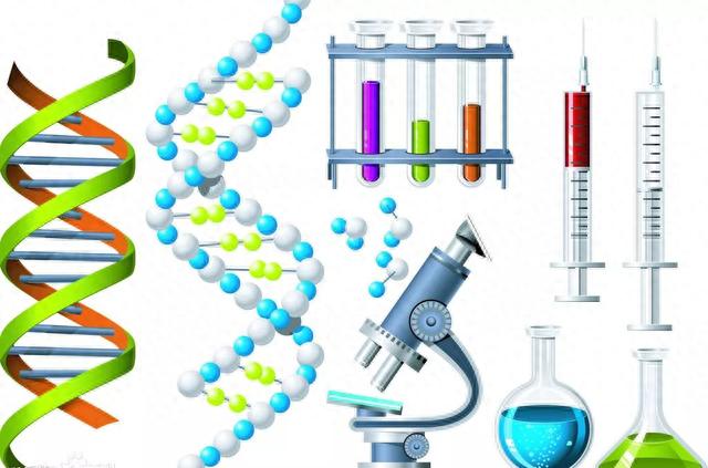 数学是所有自然科学的基础，那么生物学就是归途663 / 作者:123457926 / 帖子ID:119907