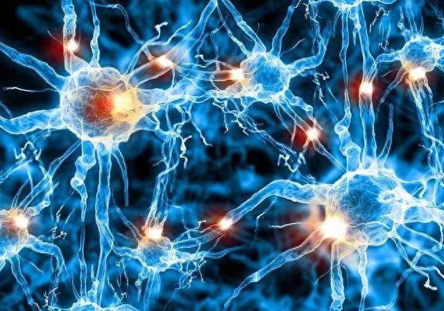 数学是所有自然科学的基础，那么生物学就是归途816 / 作者:123457926 / 帖子ID:119907