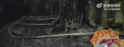 神秘事件揭秘：114人惨死真相曝光！557 / 作者:春和景明820 / 帖子ID:119954
