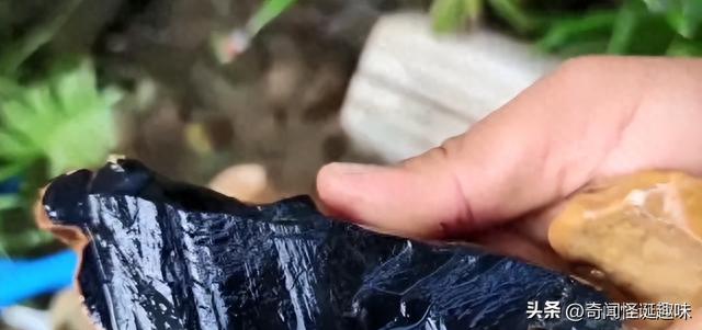 旅游遭遇神秘事件：捡到的石头用火烧竟然会跑209 / 作者:导群贵 / 帖子ID:120009