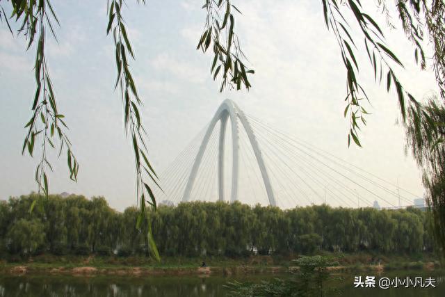 在浩瀚的宇宙里，我们该如何生存？794 / 作者:123457524 / 帖子ID:120085