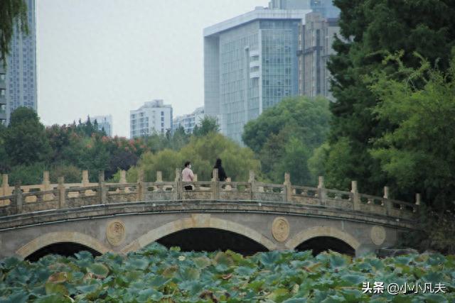 在浩瀚的宇宙里，我们该如何生存？984 / 作者:123457524 / 帖子ID:120085