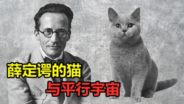 地球上有自然保护区，整个太阳系，会不会也是一个保护区？298 / 作者:王丽梅 / 帖子ID:120089