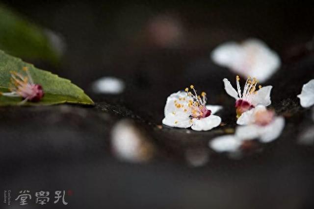 不可不知的40个中国古代历史典故-5.jpg