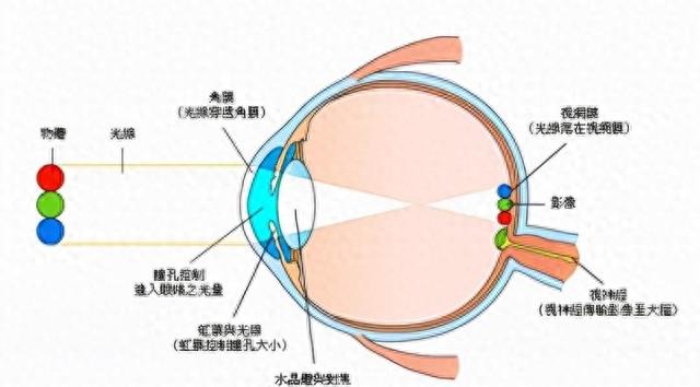 地球正在变暗！20年变暗50%，或加剧全球变暖，地球到底怎么了？832 / 作者:李松泰李c / 帖子ID:120239