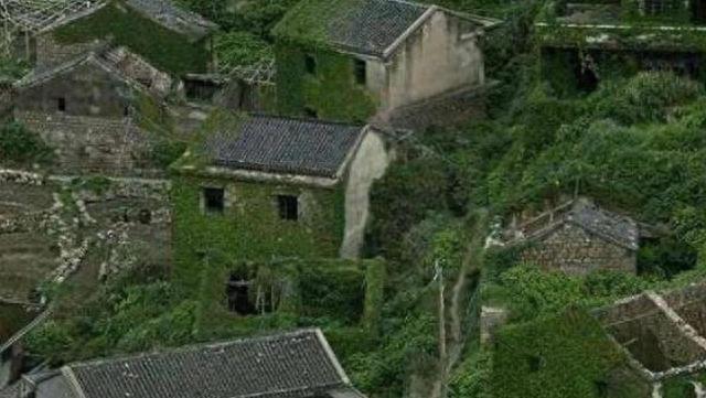 1987年秦岭神秘事件，整个村庄800多人一夜之间消失超自然机构介385 / 作者:浩渺小竹排浩az / 帖子ID:120248