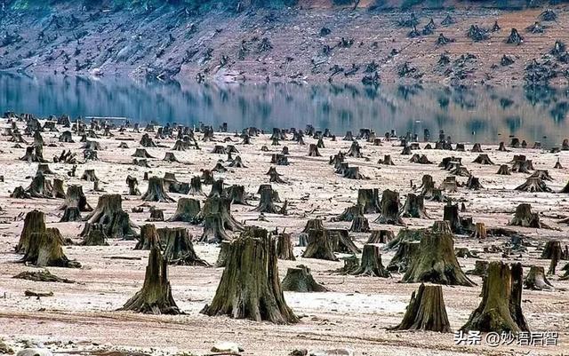 科学家警告：地球上所有生命正处于危险之中，地球生命体征很糟糕380 / 作者:山风点烟捶 / 帖子ID:120398