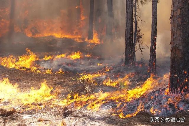 科学家警告：地球上所有生命正处于危险之中，地球生命体征很糟糕682 / 作者:山风点烟捶 / 帖子ID:120398