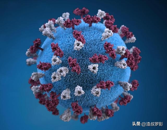 地球万物相生相克，为何病毒难以消灭？难道病毒没有天敌？537 / 作者:老郑36 / 帖子ID:120479