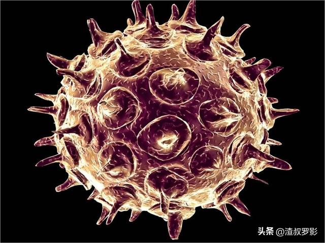 地球万物相生相克，为何病毒难以消灭？难道病毒没有天敌？724 / 作者:老郑36 / 帖子ID:120479