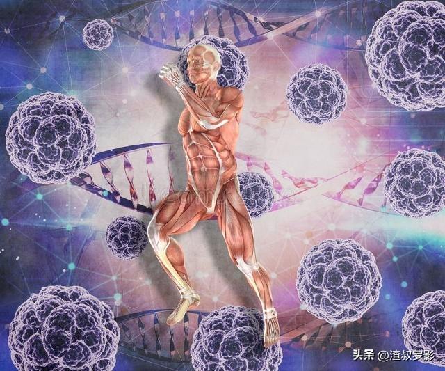 地球万物相生相克，为何病毒难以消灭？难道病毒没有天敌？359 / 作者:老郑36 / 帖子ID:120479