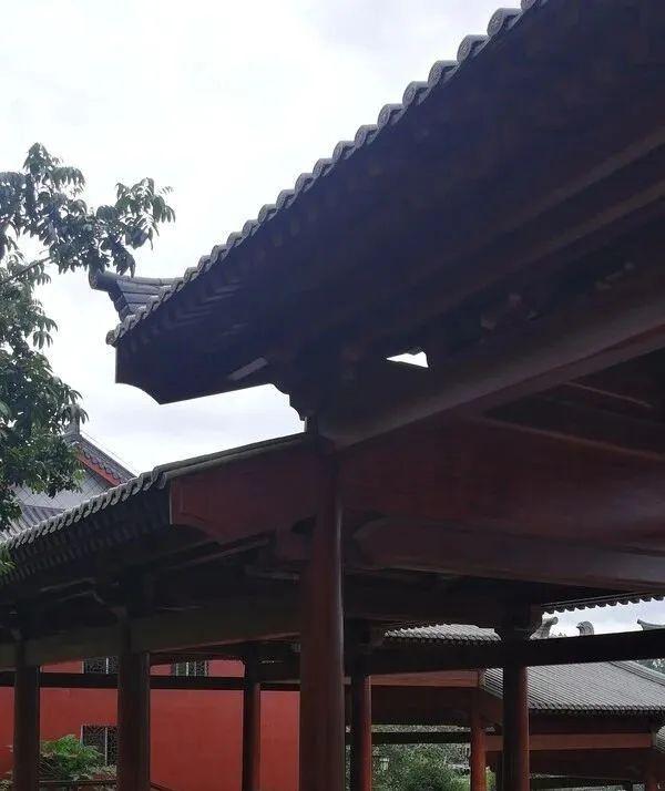 探寻无际：佛说宇宙的奥秘995 / 作者:宁师我蚜 / 帖子ID:120618