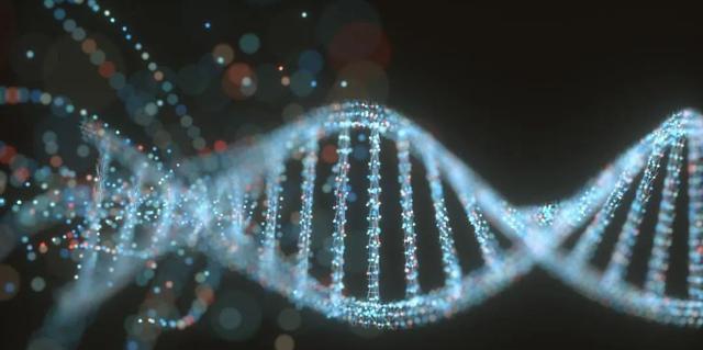 这7个科学小知识，你知道几个？（建议收藏）788 / 作者:悲新座客 / 帖子ID:120764