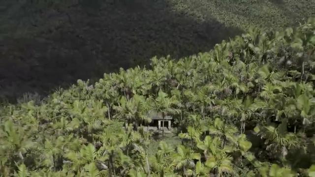 世界上最伟大的15个自然奇观, 堪称处处鬼斧神工，你都见过吗？667 / 作者:牛股行天下烁 / 帖子ID:121206