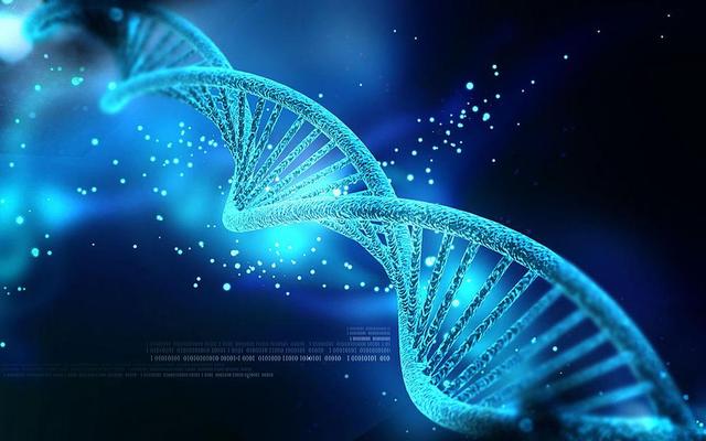 生物类专业有哪些？学些什么？哪些专业有前途？哪些学校比较好？590 / 作者:123457920 / 帖子ID:121290
