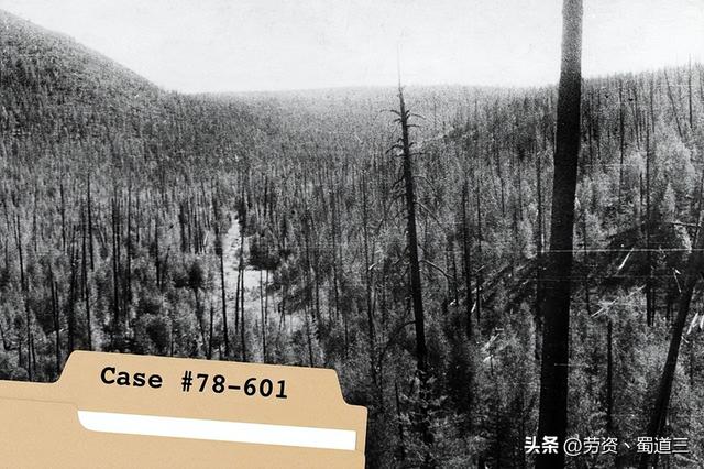10个有史以来最奇怪的未解之谜781 / 作者:aygx / 帖子ID:121417