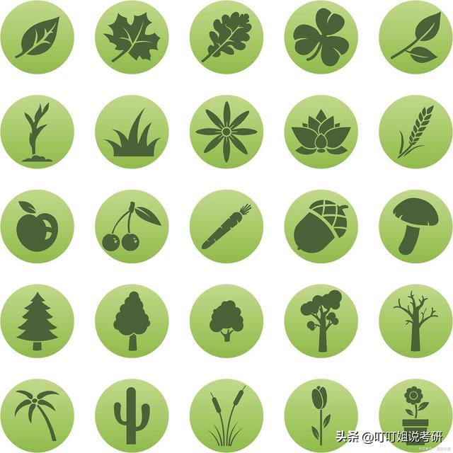 生物学专业介绍、研究方向、目标分数、院校推荐及就业方向分析655 / 作者:劳心忉忉卫 / 帖子ID:121470