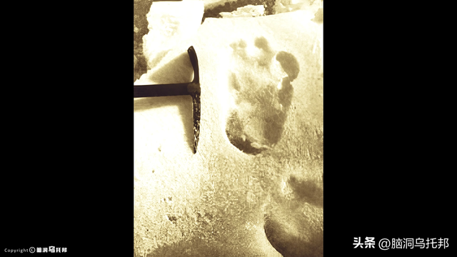 男子在雪山目击离奇景象后，被神秘组织跟踪，事件走向震惊全网！851 / 作者:玻璃杯儿敌 / 帖子ID:121487