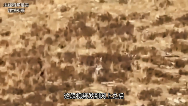 世界上发生过的真实事件，科学至今无法解释！#涨知识686 / 作者:axly530 / 帖子ID:121857