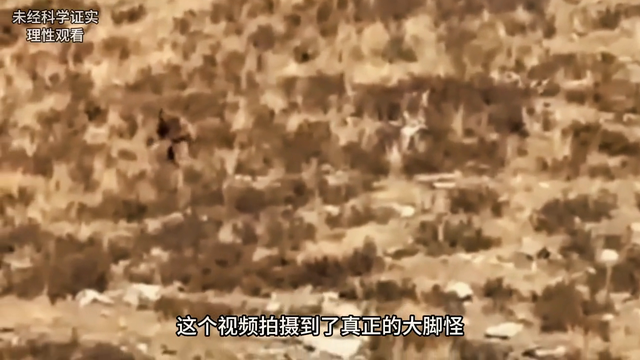 世界上发生过的真实事件，科学至今无法解释！#涨知识882 / 作者:axly530 / 帖子ID:121857