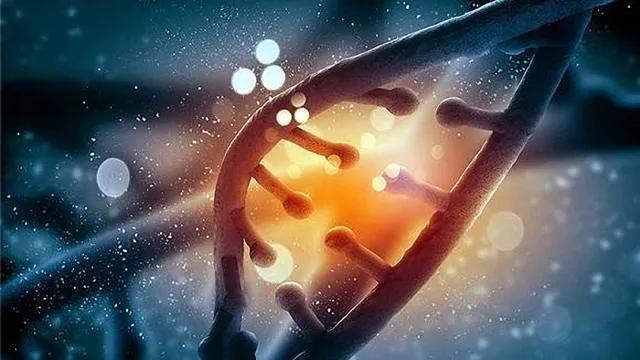 生物学繁殖技术，有性繁殖和无性繁殖413 / 作者:核桃脆 / 帖子ID:122256