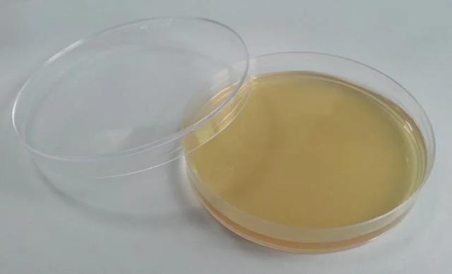 生物学繁殖技术，有性繁殖和无性繁殖824 / 作者:核桃脆 / 帖子ID:122256