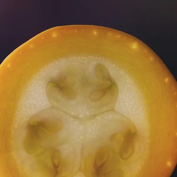生物学繁殖技术，有性繁殖和无性繁殖717 / 作者:核桃脆 / 帖子ID:122256